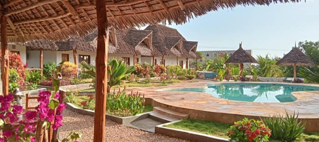 Hotel Africa Dream Bungalow Kiwengwa Kiwengwa  Exteriér fotografie